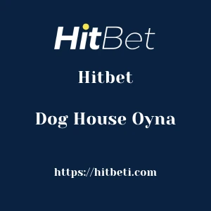 Hitbet Dog House Oyna